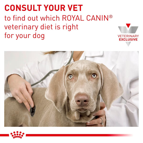 6 Pack - Royal Canin Veterinary Diet Adult Hepatic Loaf Canned Dog Food 13.7oz Royal Canin