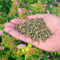 Dr. Earth Pure Gold Organic 2-2-2 Natural All-purpose Fertilizer 8lb Bag