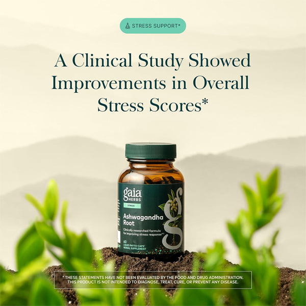 Gaia Herbs Ashwagandha Root 350 mg Sleep Support 60 Vegan Capsules Gaia Herbs