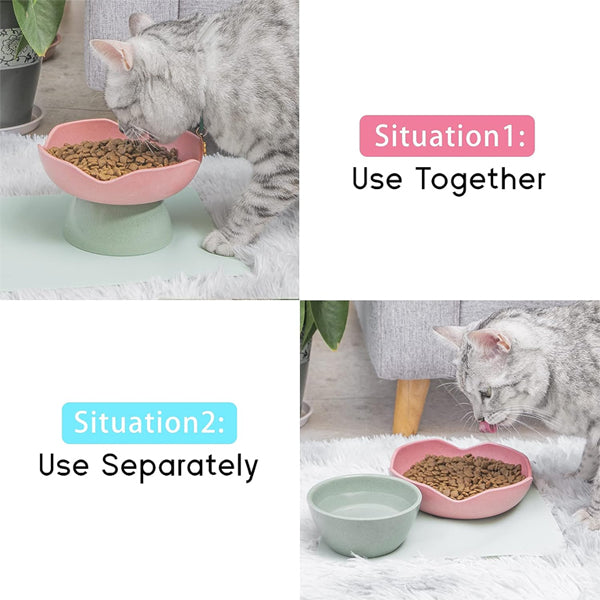 2 Pack - 2 in 1 Raised Cat Food and Water Bowl Elevated Food Bowl for Pets, Dishwasher Safe