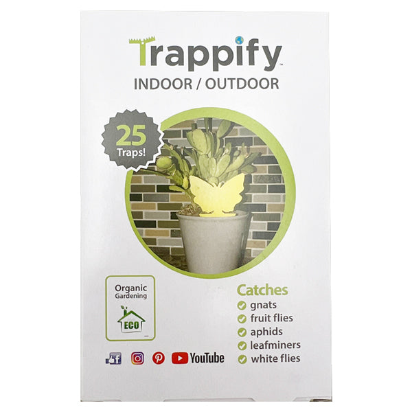 4 Pack - Trappify Sticky Butterfly Shape Gnat Traps for House Indoor - 100 Traps Total