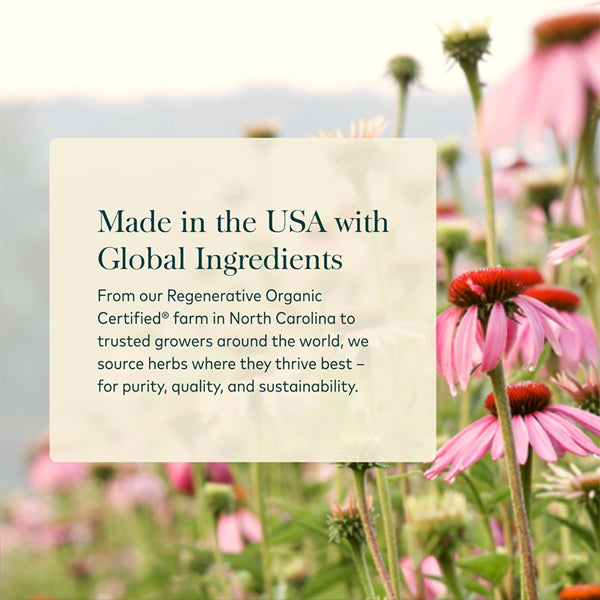 Gaia Herbs Echinacea Supreme Immune Support 60 Vegan Capsules Gaia Herbs