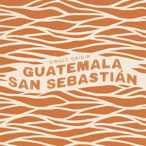 3 Pounds - Peet's Coffee Whole Bean Guatemala San Sebastián Dark Roast Coffee Peet's Coffee