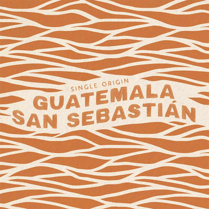 3 Pounds - Peet's Coffee Whole Bean Guatemala San Sebastián Dark Roast Coffee Peet's Coffee