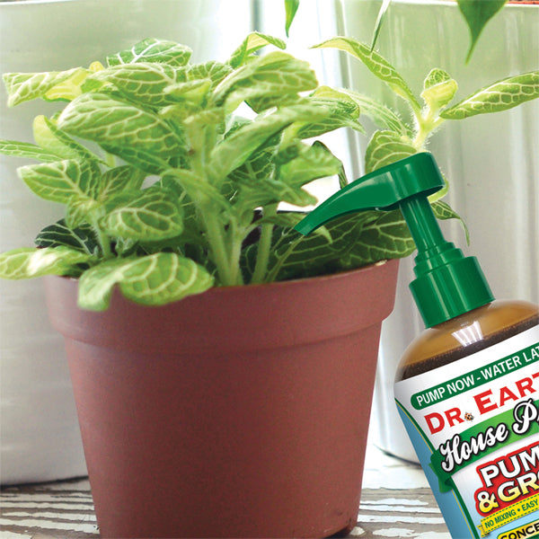 2 Pack - Dr. Earth Pump & Grow Organic Tomato Vegetable & Herb 3-2-2 Concentrated Fertilizer 8oz