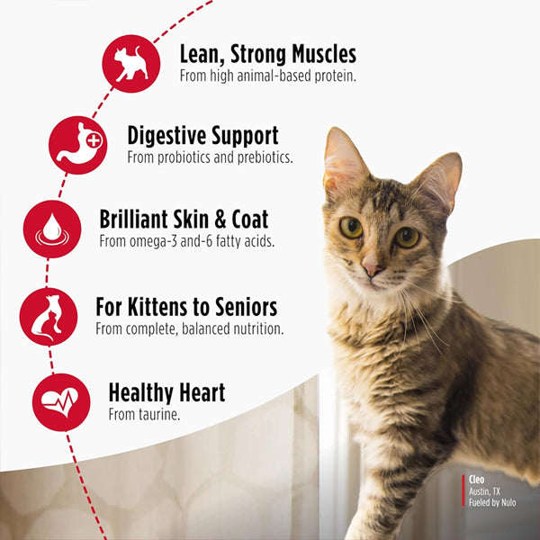 Nulo Freestyle High Protein Cat & Kitten Dry Food Chicken & Cod Recipe 14lb Nulo