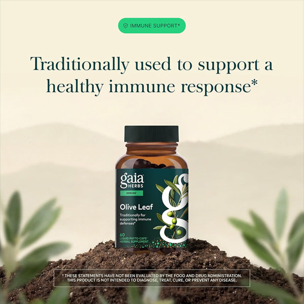 Gaia Herbs Olive Leaf Immune Support Supplement 60 Vegan Capsules Gaia Herbs