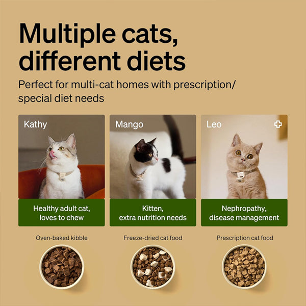 PETLIBRO RFID Automatic Cat Feeder Collar Tag-Activated Personalized Meals Petlibro