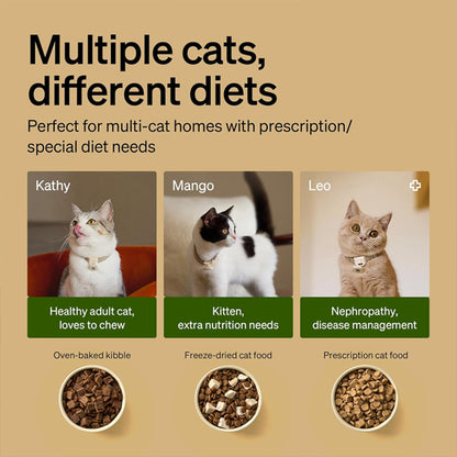 PETLIBRO RFID Automatic Cat Feeder Collar Tag-Activated Personalized Meals Petlibro