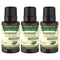 3 Pack - Nature's Truth Aromatherapy 100% Pure Essential Oil, Rosemary, 0.5 Fl Oz