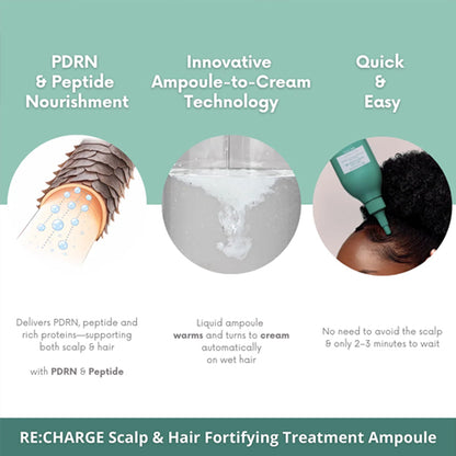Vidan Extra Nourishing Chaeum RE:CHARGE Korean Hair Treatment Duo Vidan