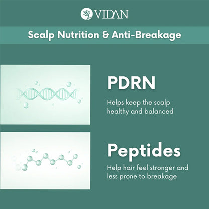 Vidan Extra Nourishing Chaeum RE:CHARGE Korean Hair Treatment Duo Vidan