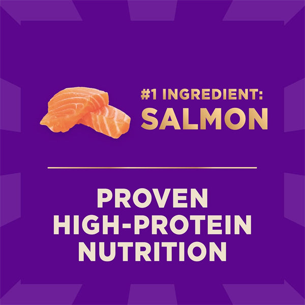 Wellness CORE+ Sensitive Skin and Stomach Adult Dry Dog Food with Freeze Dried Pieces Salmon and Rice 18lb Wellness