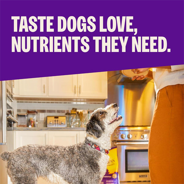Wellness Complete Health Small Breed Adult Dry Dog Food Turkey Chicken Salmon 11lbs Wellness