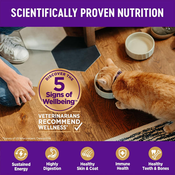 Wellness Complete Health Adult Dry Indoor Cat Food Salmon and Herring 11.5lbs Wellness