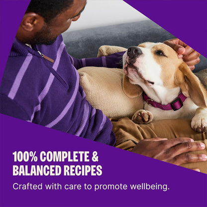 Wellness Complete Health Small Breed Adult Dry Dog Food Turkey Chicken Salmon 11lbs Wellness