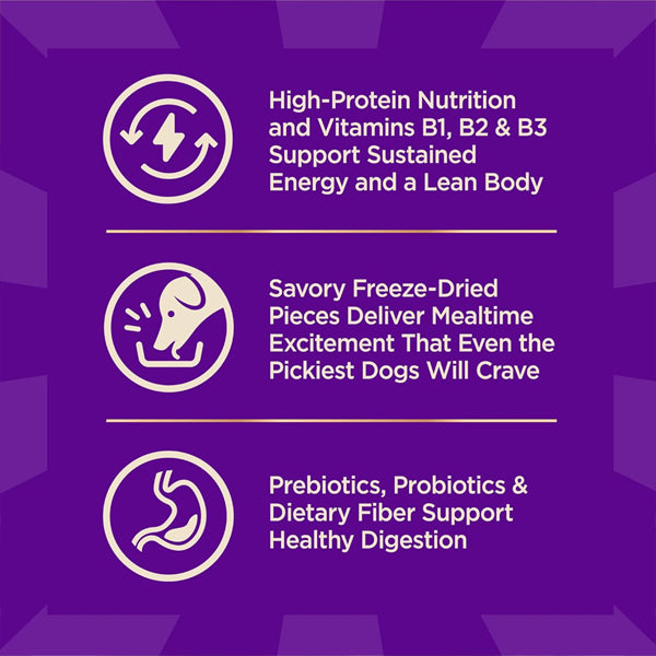 Wellness CORE+ Adult Dry Dog Food Freeze Dried Pieces Turkey and Chicken 10lb Wellness
