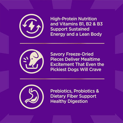 Wellness CORE+ Adult Dry Dog Food Freeze Dried Pieces Turkey and Chicken 10lb Wellness