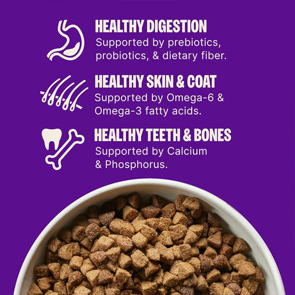Wellness Complete Health Small Breed Adult Dry Dog Food Turkey Chicken Salmon 11lbs Wellness