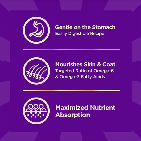 Wellness CORE+ Sensitive Skin and Stomach Adult Dry Dog Food with Freeze Dried Pieces Salmon and Rice 18lb Wellness