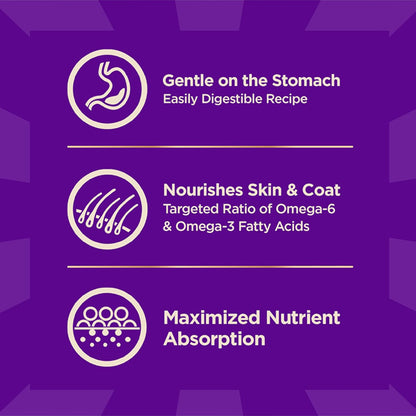Wellness CORE+ Sensitive Skin and Stomach Adult Dry Dog Food with Freeze Dried Pieces Salmon and Rice 18lb Wellness