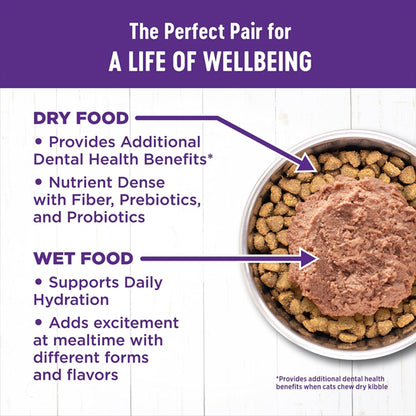 Wellness Complete Health Adult Dry Indoor Cat Food Salmon and Herring 11.5lbs Wellness
