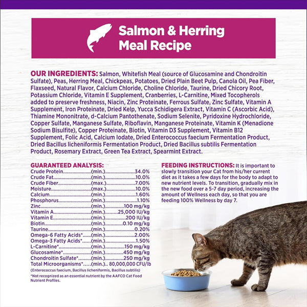 Wellness Complete Health Adult Dry Indoor Cat Food Salmon and Herring 11.5lbs Wellness