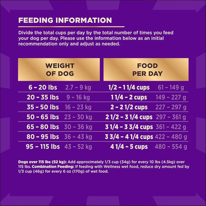 Wellness CORE+ Adult Dry Dog Food Freeze Dried Pieces Turkey and Chicken 10lb Wellness